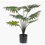 Konstväxt Philodendron Selloum FRIO, 60cm