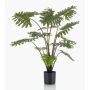 Konstväxt Philodendron Selloum FRIO, 80cm