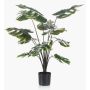 Dekorationsväxt Philodendron Monstera Deliciosa TREA, 80cm