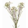 Konstgjord vaxblomstkvist MEDEA, krämfärgad, 80cm, Ø6cm