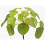 Konstgjord suckulent Pilea peperomioides SYBIL på pinne, grön, 13cm