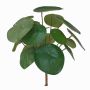 Konstgjord suckulent Pilea peperomioides SYBIL på pinne, grön, 20cm
