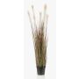 Konstgjort fjädergräs WELLORI med ax, grönt, 120cm