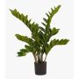 Konstväxt Zamioculcas SIMANO, 70cm