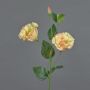 Konstblomma Lisianthus JORO, persikorosa, 65cm, Ø7-8cm