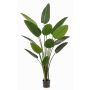 Konstväxt Strelitzia PAVLOVA, grön, 190cm