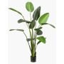 Konstväxt Strelitzia PAVLOVA, grön, 230cm