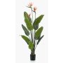 Konstgjord strelitzia TAPIES, orange-violett, 120cm