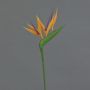 Konstblomma Strelitzia ZETKIN, orange-violett, 65cm, 11x12cm