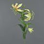 Konstblomma, segerkronan CELESTE, gul-persika, 80cm, Ø6-12cm