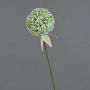 Konstgjord allium DURBAN, vit, 70cm, Ø9cm
