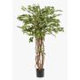 Konstgjord Ficus Benjamina CARLOH, äkta stammar, grön, 140cm