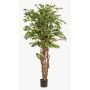 Konstgjord Ficus Benjamina CARLOH, äkta stammar, grön, 170cm