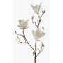 Konstgjord magnolia MALVAO, krämfärgad, 90cm, Ø10-12cm