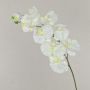 Stor konstgjord blomma, Phalaenopsis-orkidégren ANAT, vit, 95cm, Ø9-11,5cm