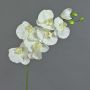 Konstgjord Phalaenopsis-orkidégren BASTET, vit, 75cm, Ø9-11cm