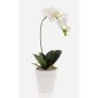 Konstgjord Phalaenopsis-orkidé ISIS, keramikkruka, vit, 40cm