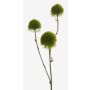 Konstgjord blomma, edeldistel BRANCO, grön, 60cm, Ø5-6cm