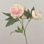 Konstgjord pion MISTI, krämrosa, 70cm, Ø8-12cm