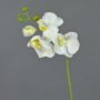 Konstgjord Phalaenopsis-orkidé, gren MINA, vit, 55cm, Ø7-8cm