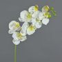 Konstgjord Phalaenopsis-orkidé, gren MINA, vit, 60cm, Ø7-8cm