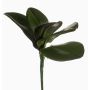 Konstgjorda blad från Phalaenopsis-orkidé NIUT, luftrötter, 25cm