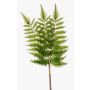 Dekorativt blad, svärdormbunke HALIMA, grönt, 60cm