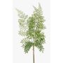 Dekorativt blad, sköldfarn HALIMA, grönt, 60cm