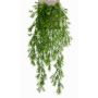 Konstgjord hängväxt Asparagus sprengeri COLE, på stödpinne, 75cm