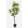Konstgjord träd Dracaena Reflexa Jamaica OSAKA, grön, 130cm