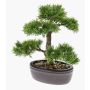 Konstgjord bonsai-ceder BERTOLT i skål, 30cm