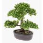 Konstgjord bonsai Ficus HESPER i skål, 30cm