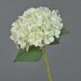 Konstgjord hortensia EGIA, krämfärgad, 50cm, Ø16cm