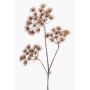 Stor konstgjord blomma, björnklöver BELMIRO, brun, 100cm, Ø13-15cm