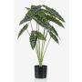 Konstgjord växt Alocasia Sanderiana FIORELLA, grön, 80cm
