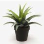 Konstväxt Agave decipiens SEDA, grön, 20cm, Ø25cm