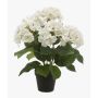 Konstväxt hortensia JONE, krämfärgad, 40cm
