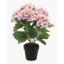 Konstväxt hortensia JONE, rosa, 40cm
