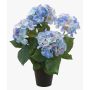 Konstväxt hortensia JONE, blå, 40cm