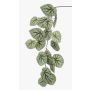 Konstgjord kvist bladbegonia MEIRA, grågrön, 110cm