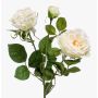 Konstblomma rosgren CALISTA, krämfärgad, 60cm, Ø9cm