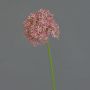 Konstblomma Allium ARNAU, rosa, 60cm, Ø10cm