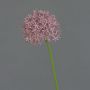 Konstblomma Allium ARNAU, violett, 60cm, Ø10cm