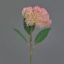 Plastblomma Sedum telephium blomma JICAMA, rosa-vit, 45cm, Ø12cm