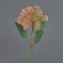Plastblomma Sedum telephium blomma JICAMA, rosa-grön, 45cm, Ø12cm