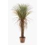 Konstgjord växt Yucca rostrata palm FORMOSA, 110cm