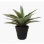Konstgjord suckulent drakträd-agave DESIREE, grön, 20cm, Ø25cm
