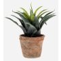 Konstgjord växt Agave decipiens SEDA i terrakottakruka, grön, 20cm, Ø25cm