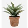 Konstgjord suckulent drake-agave DESIREE i terrakottakruka, grön, 20cm, Ø25cm