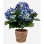 Konstgjord hortensia LAIDA i terrakottakruka, blå, 35cm
